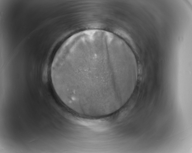 X0000088030012200706081510