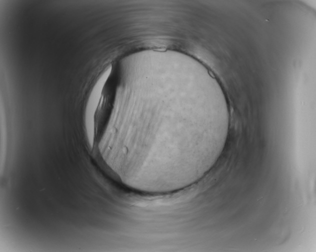 X0000088030013200706081510