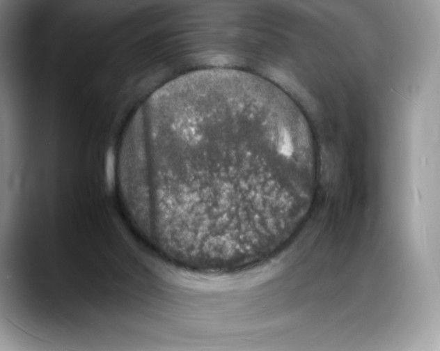X0000088030014200706081510