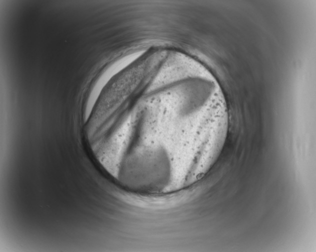 X0000088030015200706081510