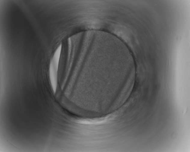 X0000088030017200706081510