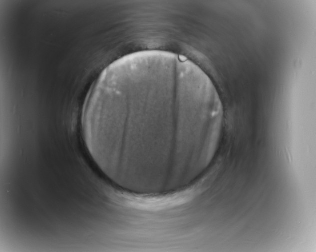 X0000088030018200706081510
