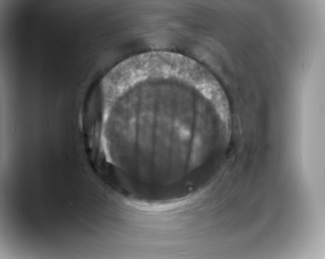 X0000088030019200706081510