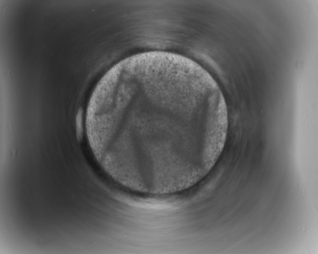 X0000088030020200706081510