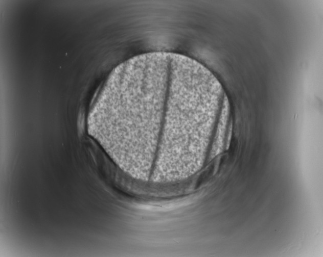 X0000088030021200706081510