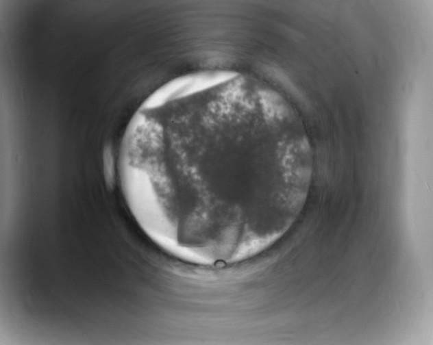 X0000088030022200706081510