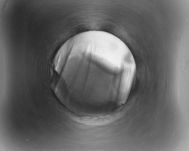 X0000088030023200706081510
