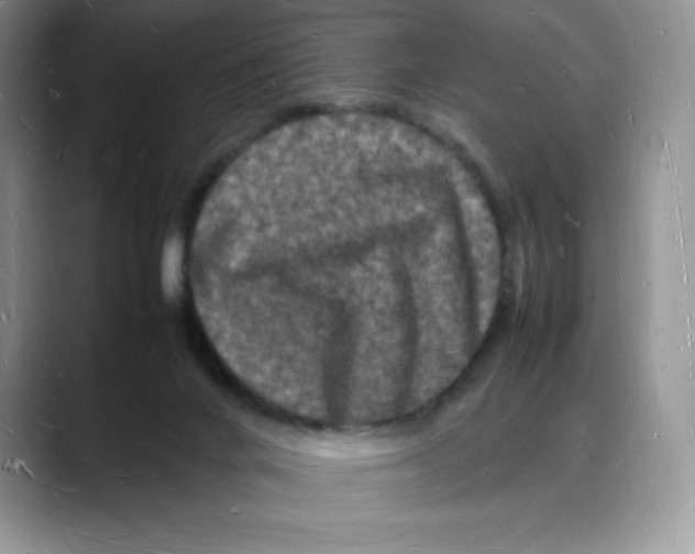 X0000088030024200706081510