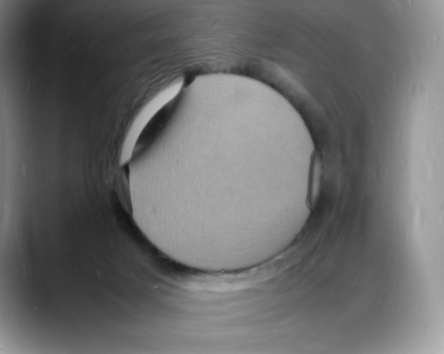 X0000088030025200706081510