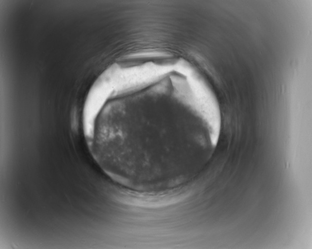 X0000088030026200706081510