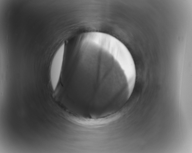 X0000088030027200706081510