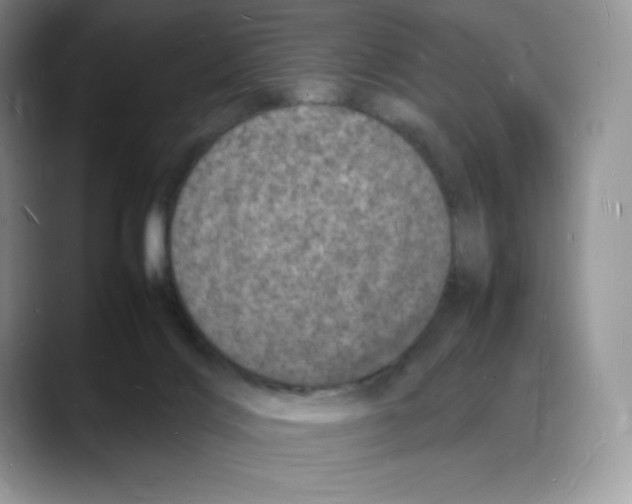 X0000088030028200706081510
