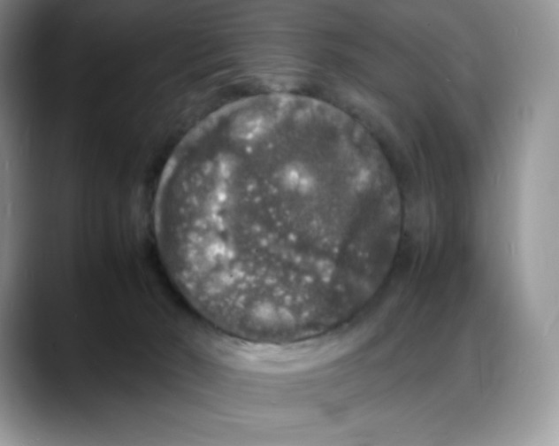 X0000088030030200706081510