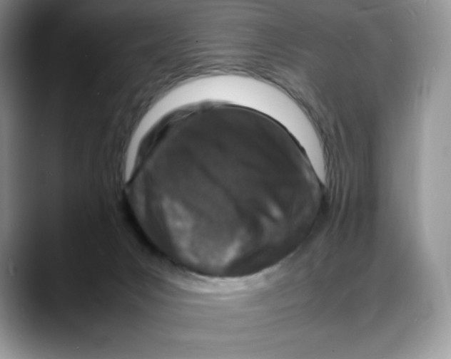 X0000088030031200706081510