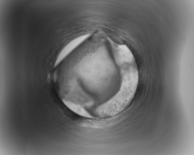 X0000088030033200706081510