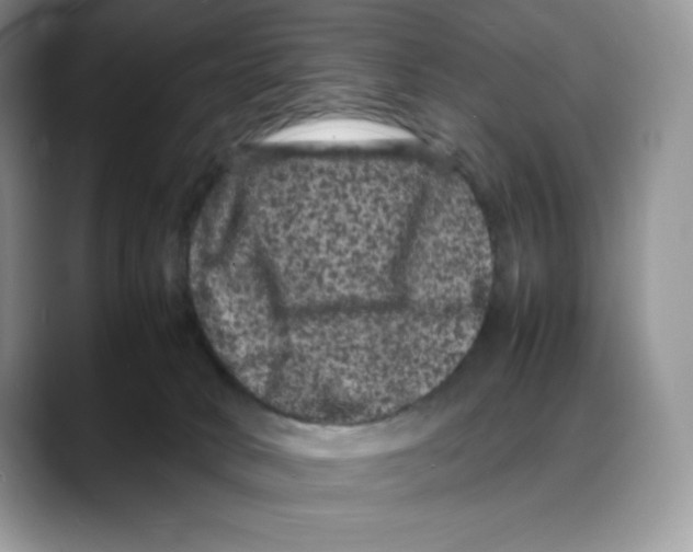 X0000088030034200706081510
