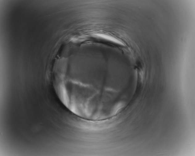 X0000088030035200706081510