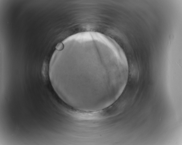 X0000088030036200706081510