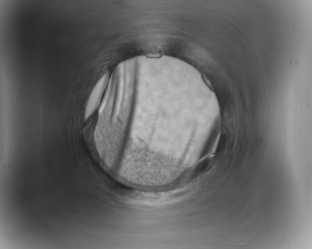 X0000088030037200706081510