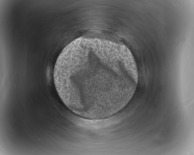 X0000088030038200706081510