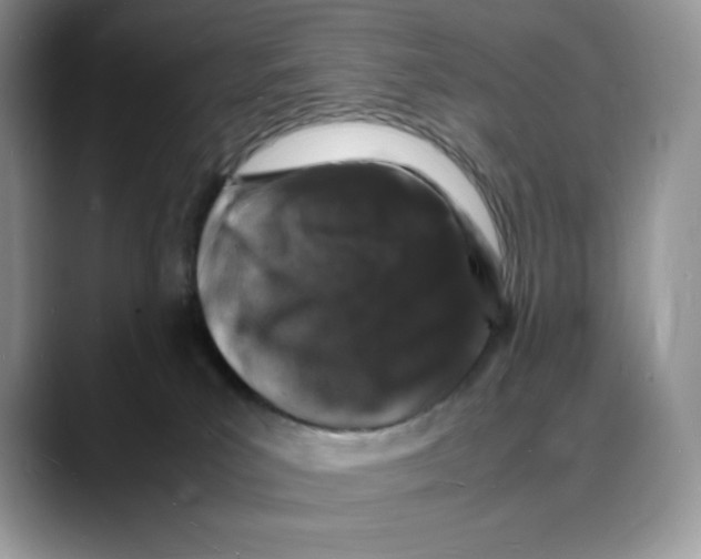 X0000088030039200706081510