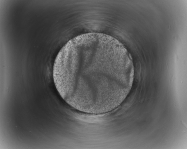 X0000088030040200706081510