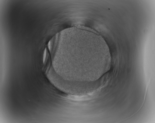 X0000088030041200706081510