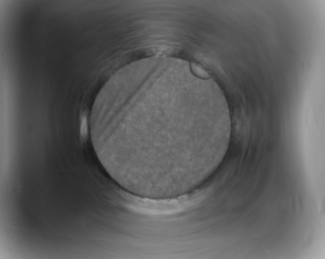 X0000088030042200706081510