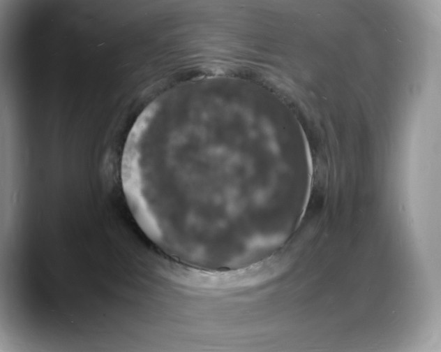 X0000088030043200706081510