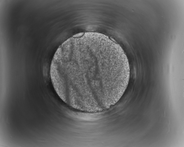 X0000088030044200706081510