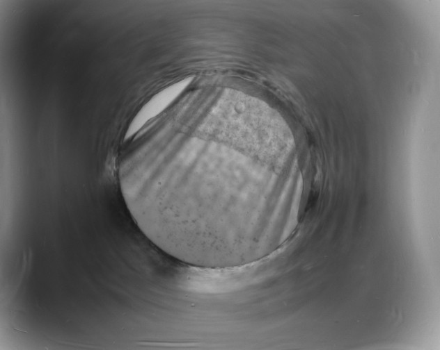 X0000088030045200706081510