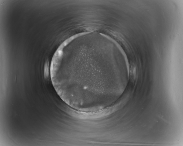 X0000088030046200706081510