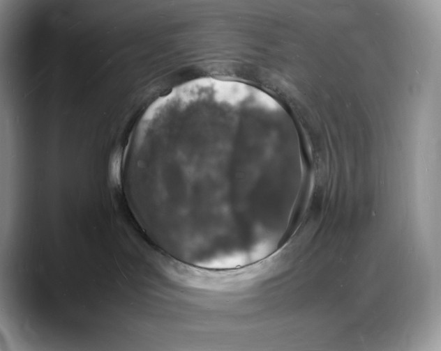X0000088030047200706081510