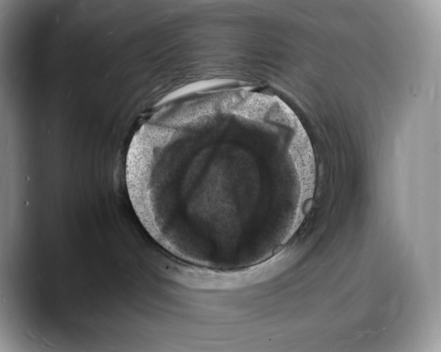 X0000088030048200706081510