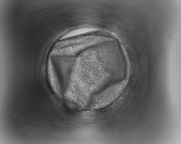 X0000088030050200706081509