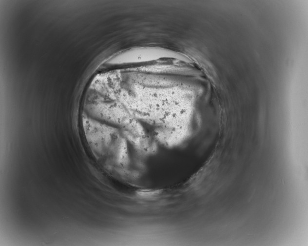 X0000088030051200706081509