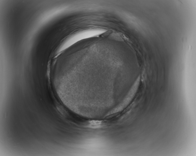 X0000088030052200706081509