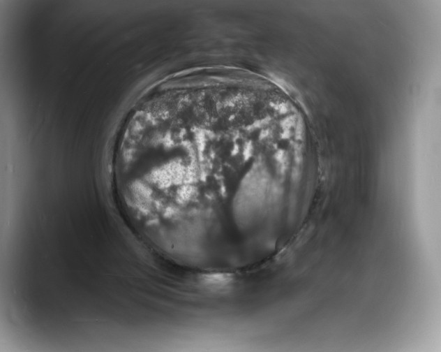 X0000088030053200706081509