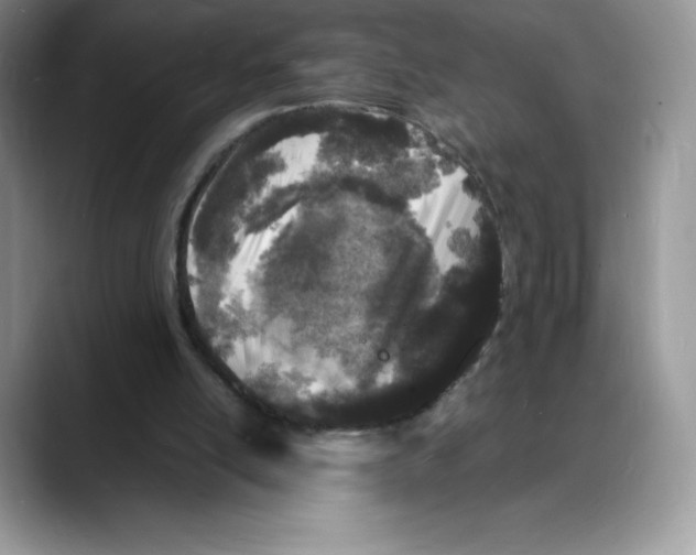 X0000088030054200706081509