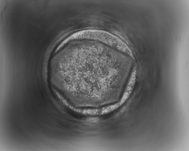 X0000088030055200706081509