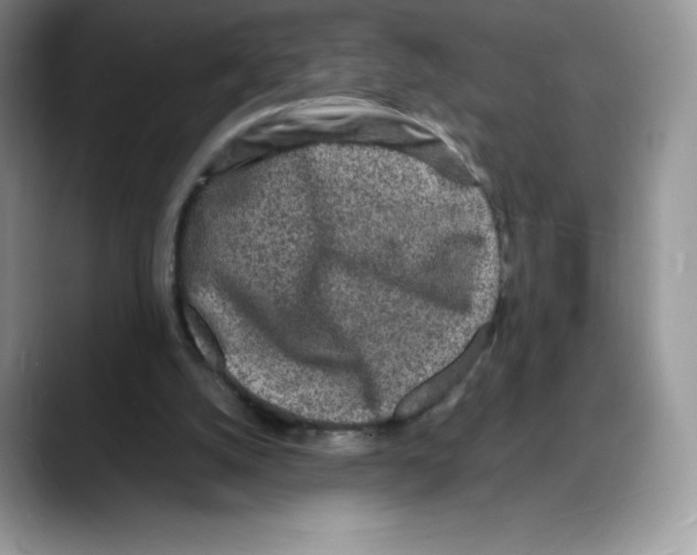 X0000088030056200706081509