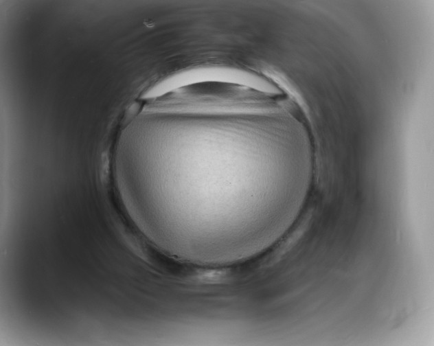 X0000088030057200706081510