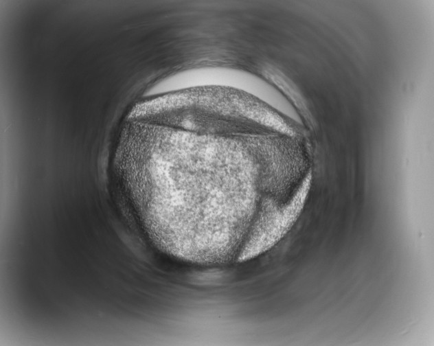 X0000088030058200706081510