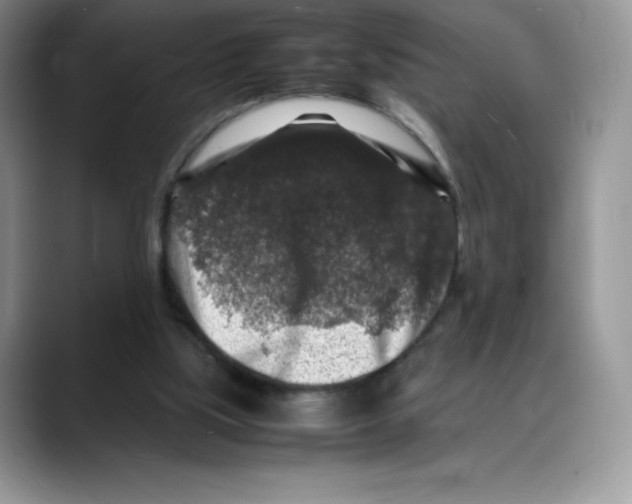 X0000088030059200706081510