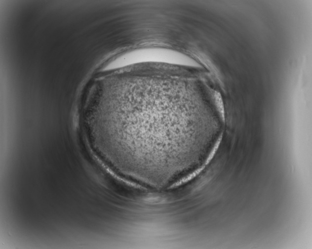X0000088030060200706081510