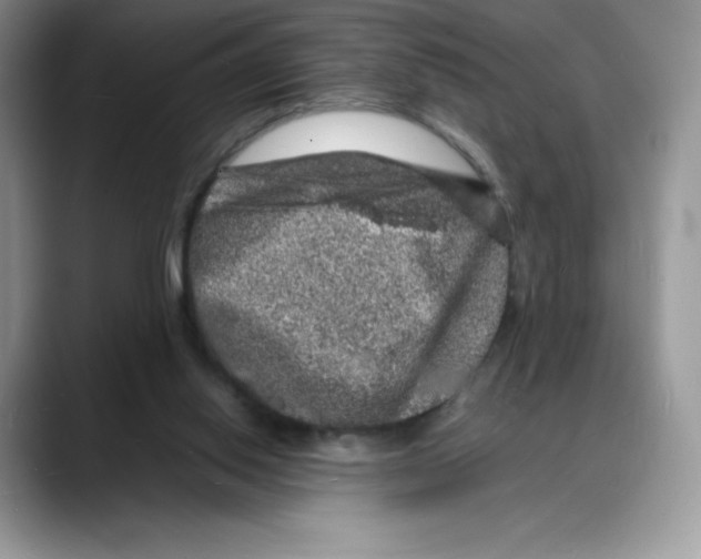 X0000088030062200706081510