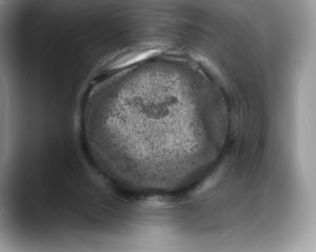 X0000088030064200706081510