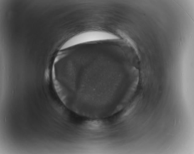 X0000088030067200706081510