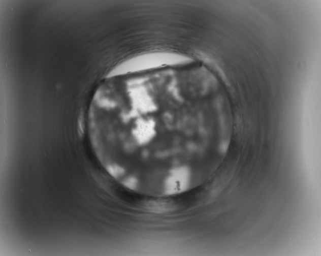 X0000088030069200706081510
