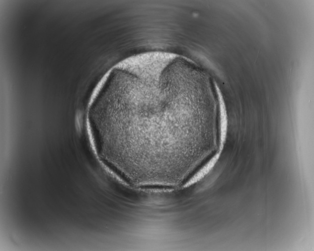 X0000088030070200706081510